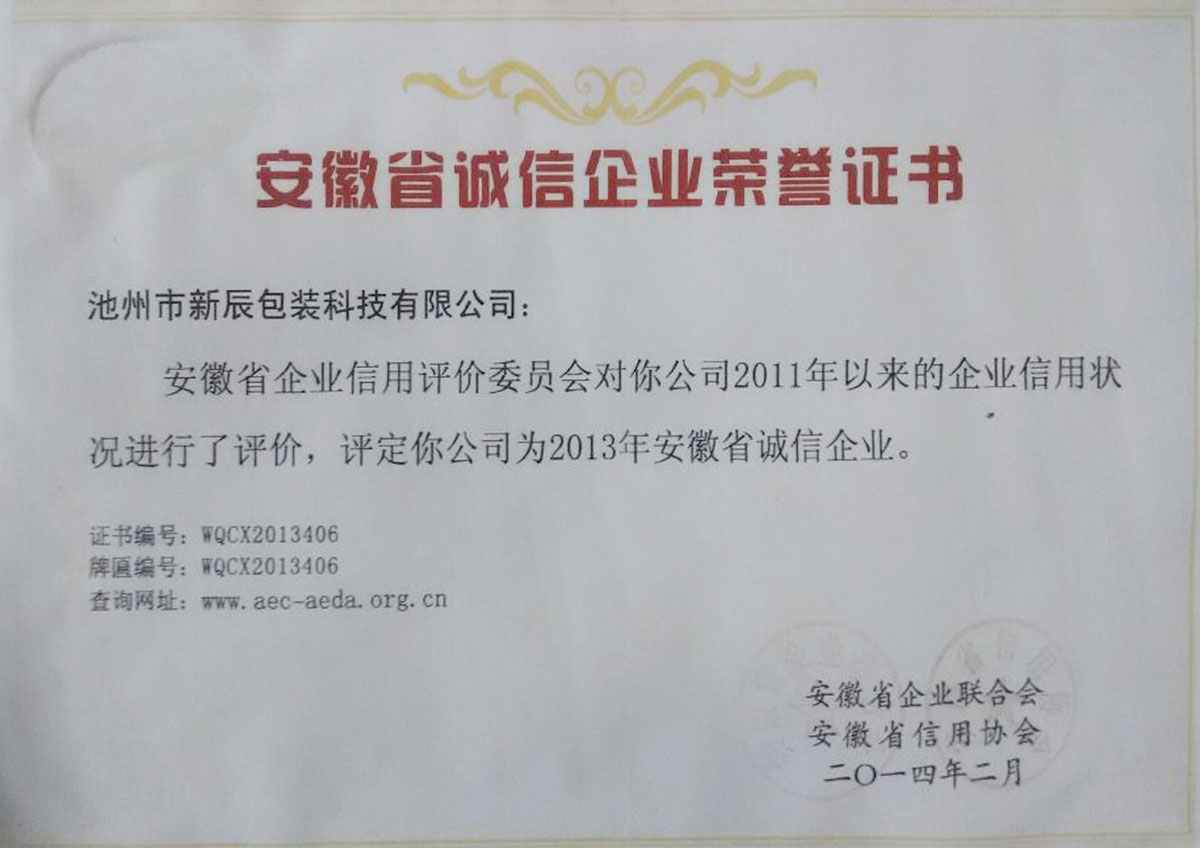 第十届SNEC(2016)国际太阳能